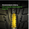 Ikon (Nokian Tyres) Character Snow 2